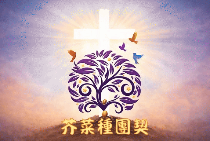 MSF 芥菜種團契